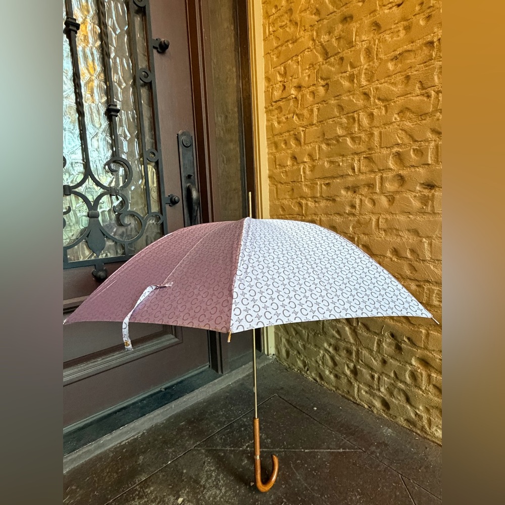 Celine Lavender Triomphe logo pattern Umbrella with wooden handle Vintage☔️